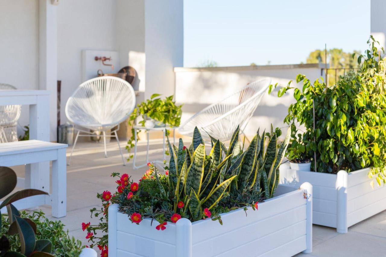 Bed and Breakfast Casa Litara Cutrofiano Exterior foto